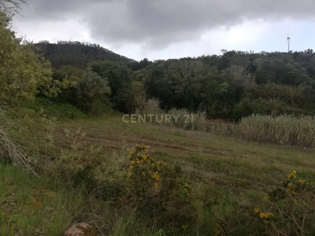 Terreno Agrícola na Zona Oeste - Image 5